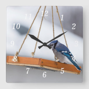 Horloge murale de la poupée de Jay bleu