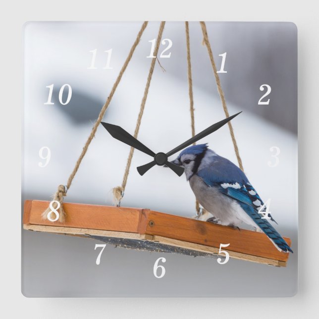 Horloge murale de la poupée de Jay bleu (Recto)