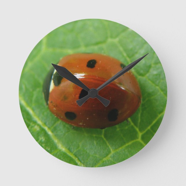 Horloge murale de Ladybug (Recto)