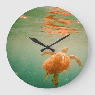 Horloge murale de Lage de tortue de mer