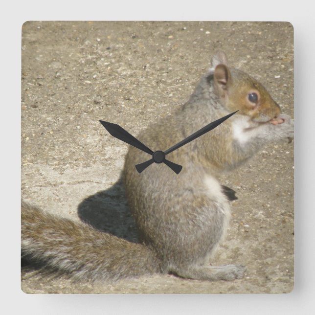 Horloge murale de l'écureuil affamé (Recto)