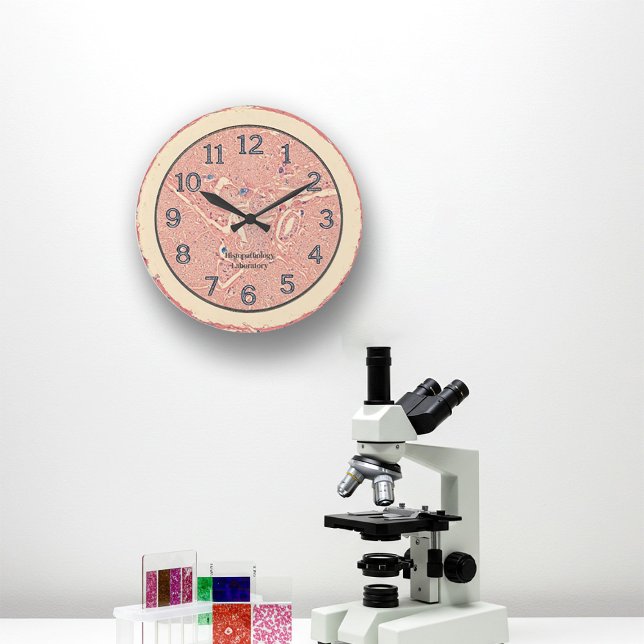 Horloge murale de l'historique (Visualization of the histology clock on a wall of a laboratory)