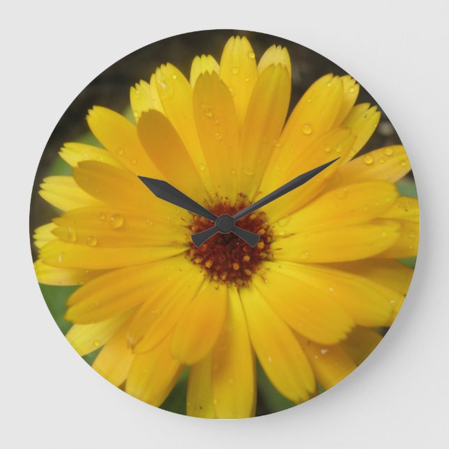 Horloge murale de Macro Marigold jaune (Recto)