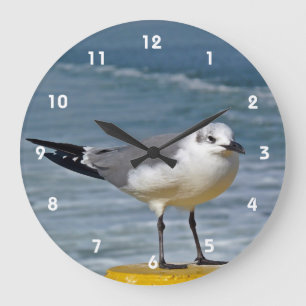 Horloge murale de mouette