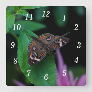 Horloge murale de papillon tacheté