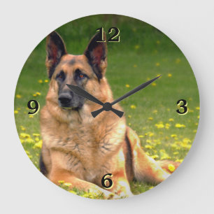 Horloge murale de photo de berger allemand
