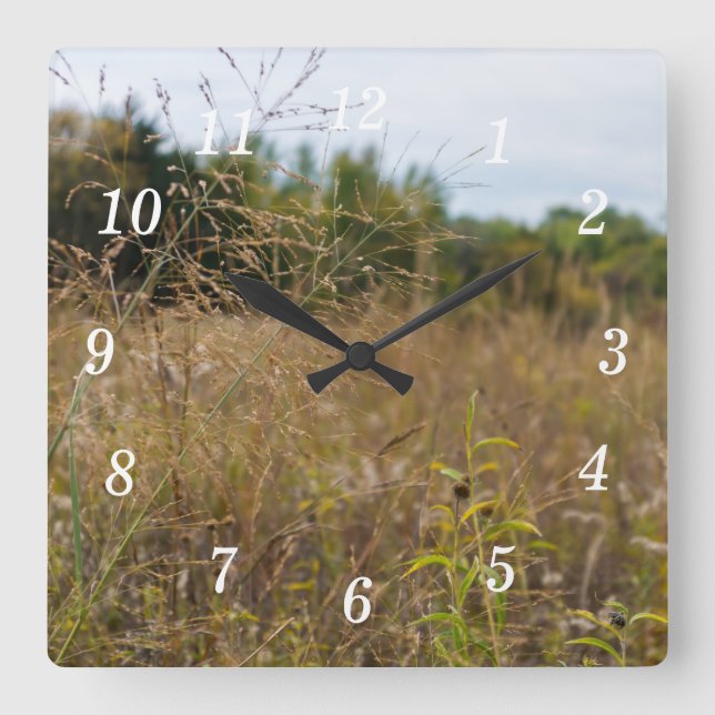 Horloge murale de prairie surélevée (Recto)