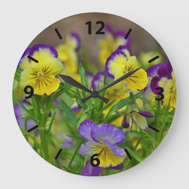 Horloge murale de Viola (Recto)