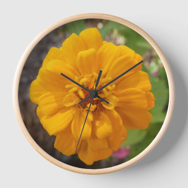 Horloge murale de Zinnia Flower (Recto)