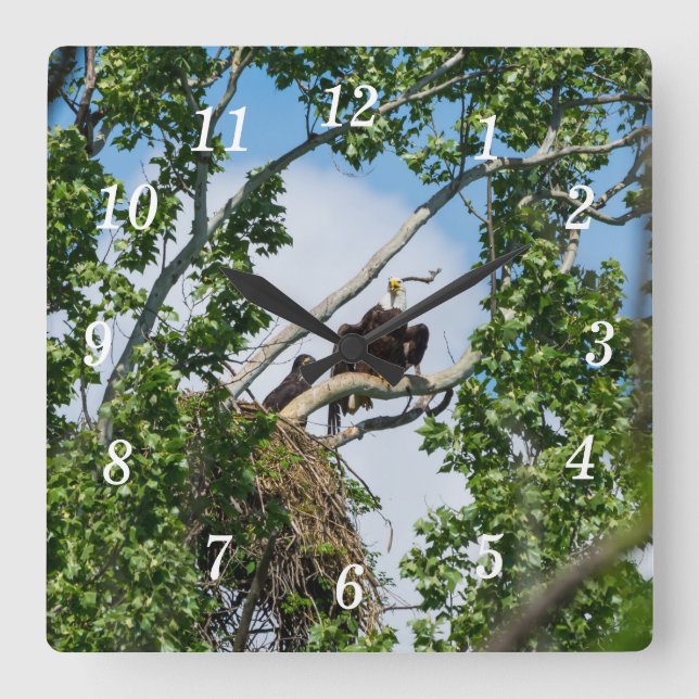 Horloge murale des aigles chauds (Recto)