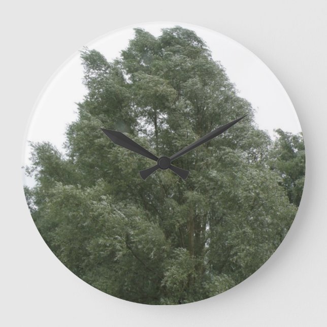 Horloge murale des arbres (Recto)