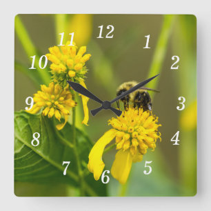Horloge murale des bourdons