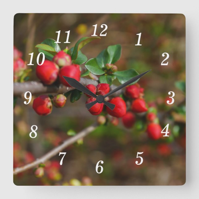 Horloge murale des boutons de ressort rouge (Recto)