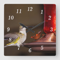 Horloge murale des colibris à gorge rubis