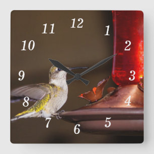 Horloge murale des colibris à gorge rubis