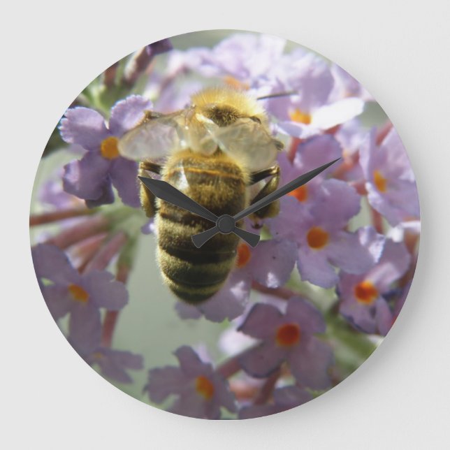 Horloge murale des fleurs d'abeilles et de bouddle (Recto)