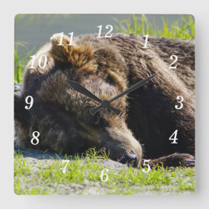 Horloge murale des grizzlis de l'Alaska couchant