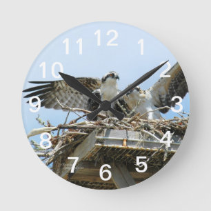 Horloge murale des Hawks Ospreys