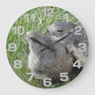 Horloge murale des marmottes