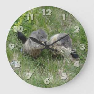 Horloge murale des marmottes