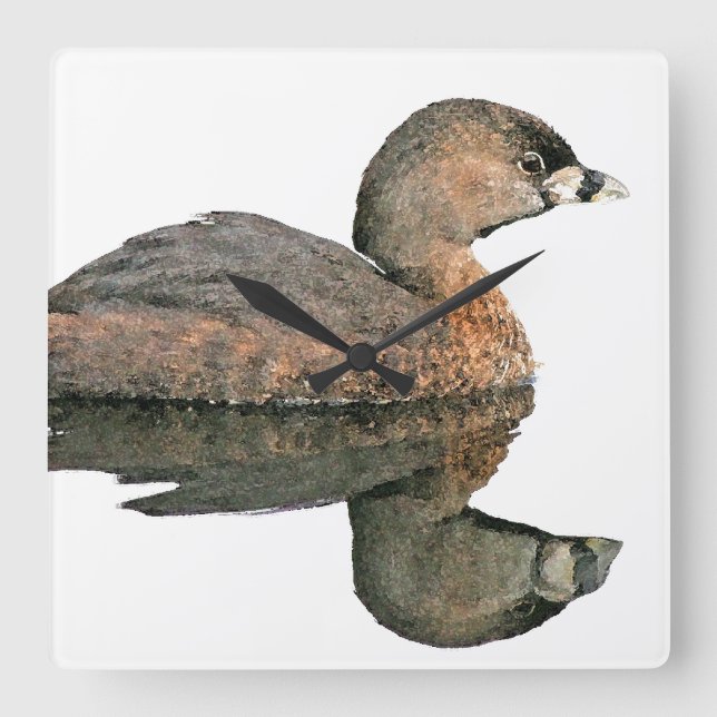 Horloge murale des oiseaux Grebe (Recto)