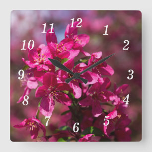 Horloge murale des ombres de pomme crabe