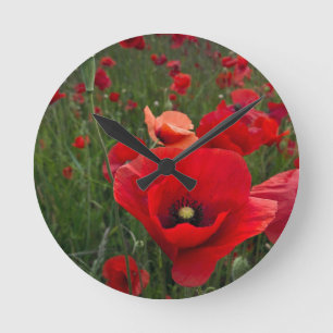 Horloge murale des Red Poppys