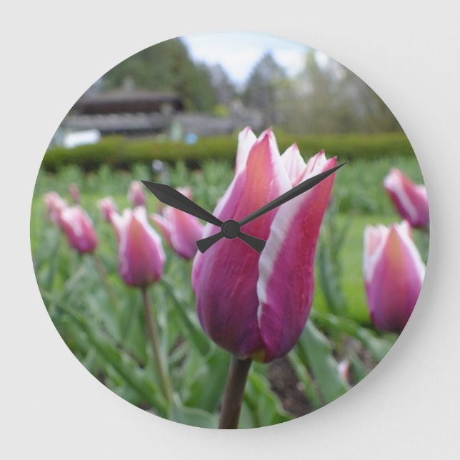 Horloge murale des tulipes rouges et blanches (Recto)