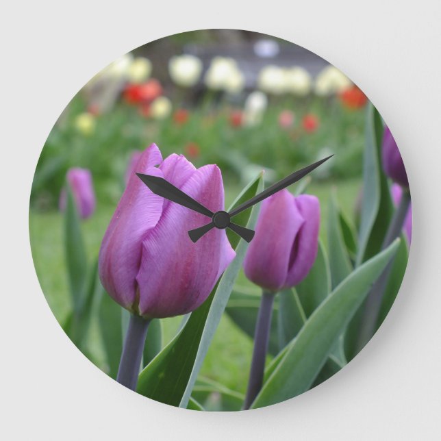 Horloge murale des tulipes violettes (Recto)