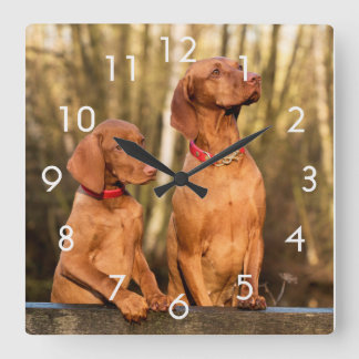 Horloge murale deux chiens Vizsla dorés rouille