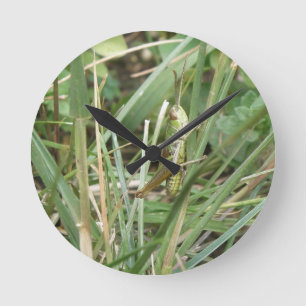 Horloge murale du camouflage de sauterelles