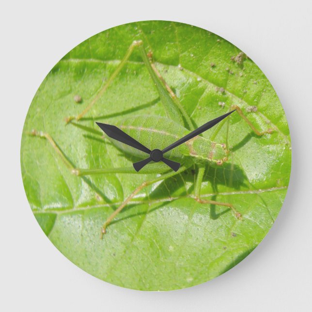 Horloge murale du camouflage vert (Recto)