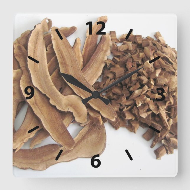 Horloge murale du champignon Reishi (Recto)