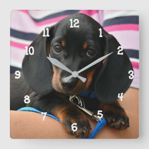 Horloge murale du chiot de Dachshund
