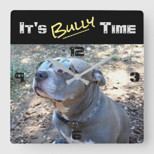 Horloge murale du cool Pitbully