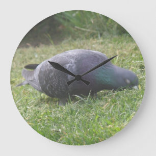 Horloge murale du pigeon