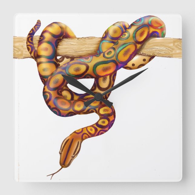 Horloge murale du serpent Rainbow Boa (Recto)