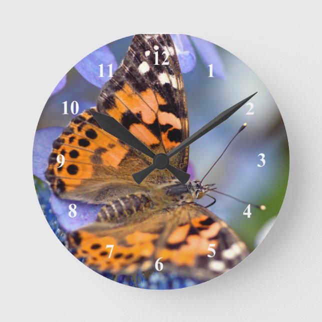 Horloge murale en acrylique à papillon peint (Recto)