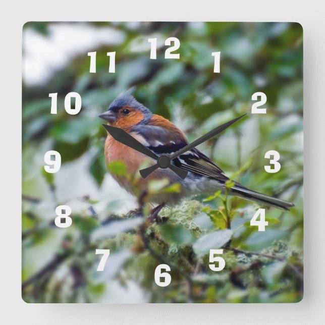 Horloge murale en acrylique Chaffinch (Recto)