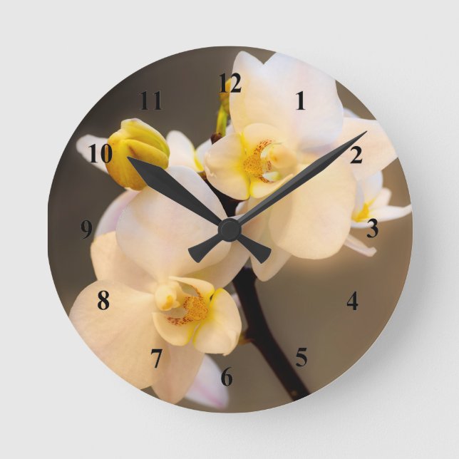 Horloge murale en acrylique orchidée blanche (Recto)