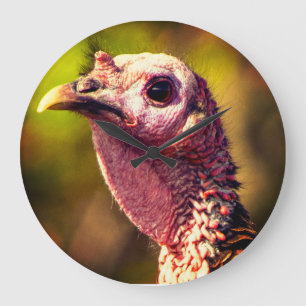 Horloge murale en acrylique Turkey Up Close and Pe