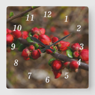 Horloge murale en bois rouge