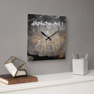 Horloge murale en carapace de tortue gopher