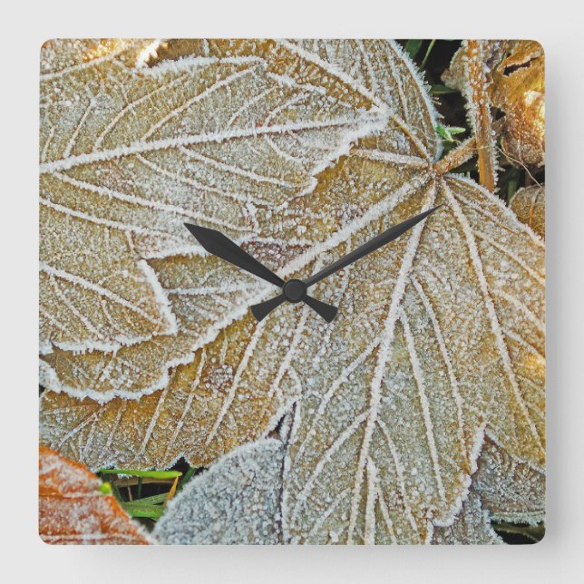 Horloge murale feuilles gelées (Recto)