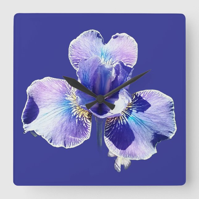 Horloge murale Fleur bleue (Recto)
