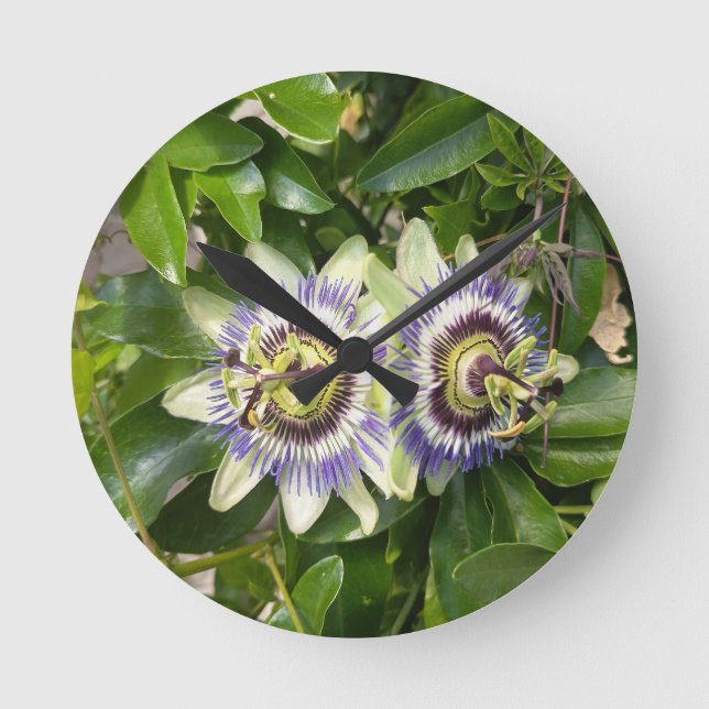 Horloge murale fleur de la passion violette (Recto)