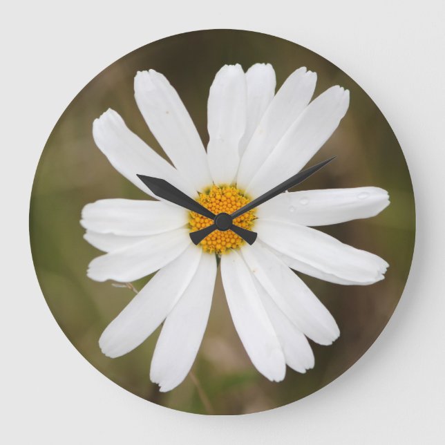 Horloge murale Fleur de marguerite avec goutte de  (Recto)