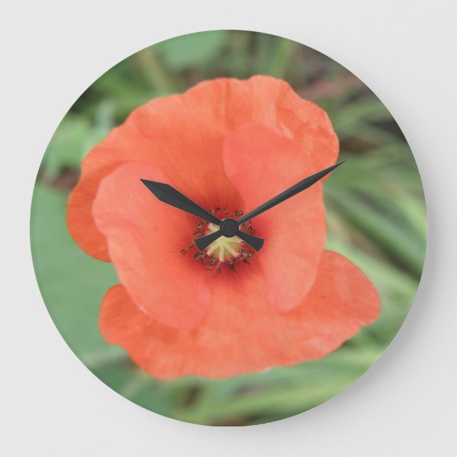 Horloge murale Fleur de Poppy sauvage (Recto)