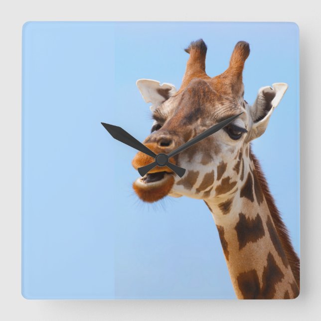 horloge murale Giraffe Portrait (Recto)