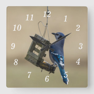 Horloge murale Jay Bleu